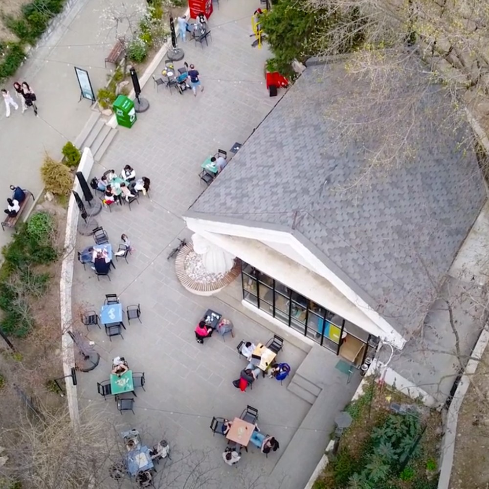 COLLABORATE FOR IMPACT – GEORGIA