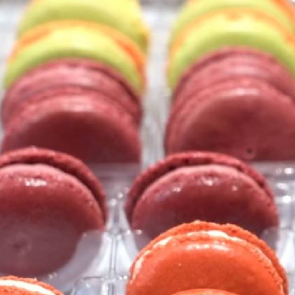 MORE THAN FOOD – BELGIUM AND NETHERLANDS