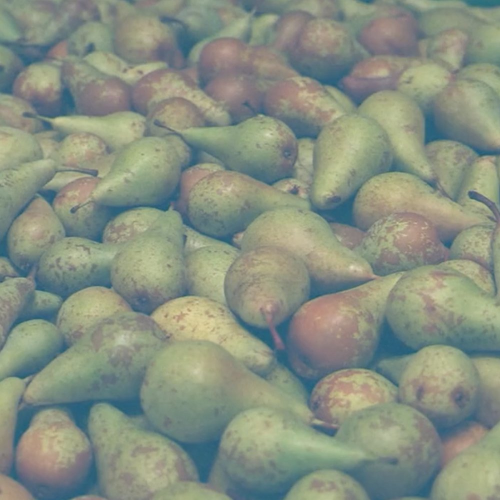 MULTI AGRI PROGRAMM – VLAM