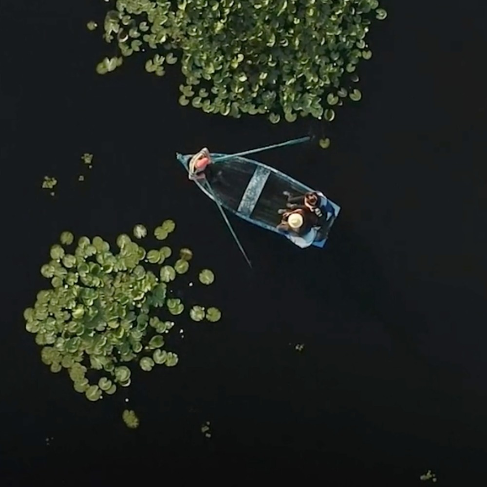 WWF - World Wildlife Fund